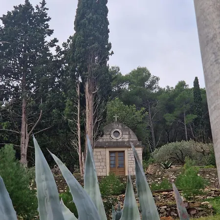 Appartement Solentia